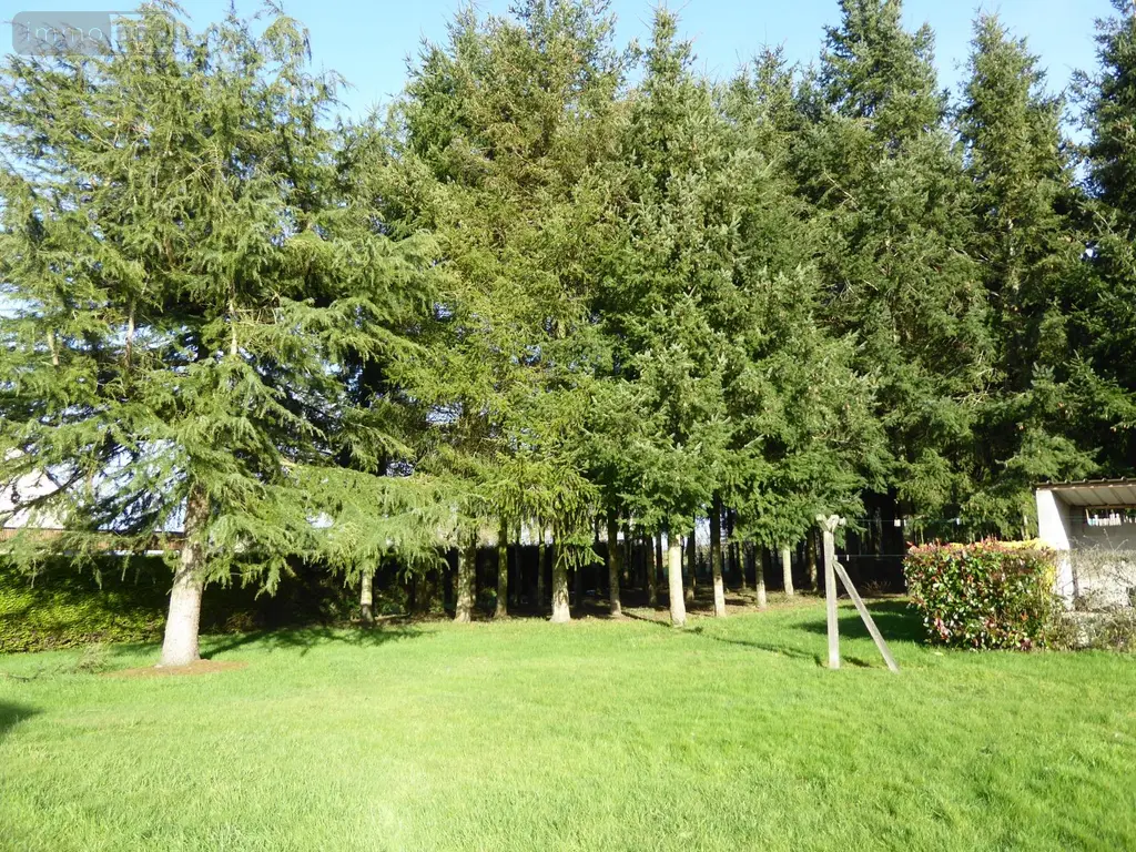 Maison a vendre La Chapelle-aux-Filtzméens 35190 Ille-et-Vilaine 35 135 m2 5 pièces 418000 euros 1845 008