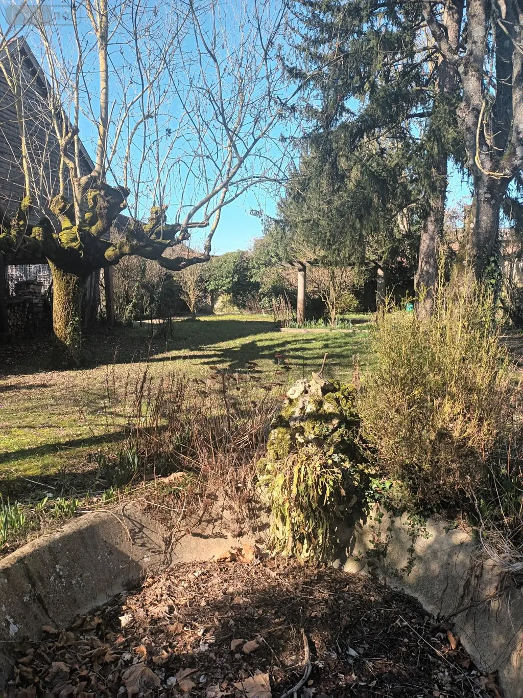 Maison a vendre Piney 10220 Aube 10 307 m2 10 pièces 241500 euros 2025-9 003