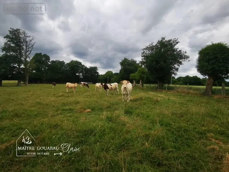 Bien agricole a vendre Loiron-Ruillé 53320 Mayenne 53 112350 euros achat_bien_agricole_com_53137_53320 010