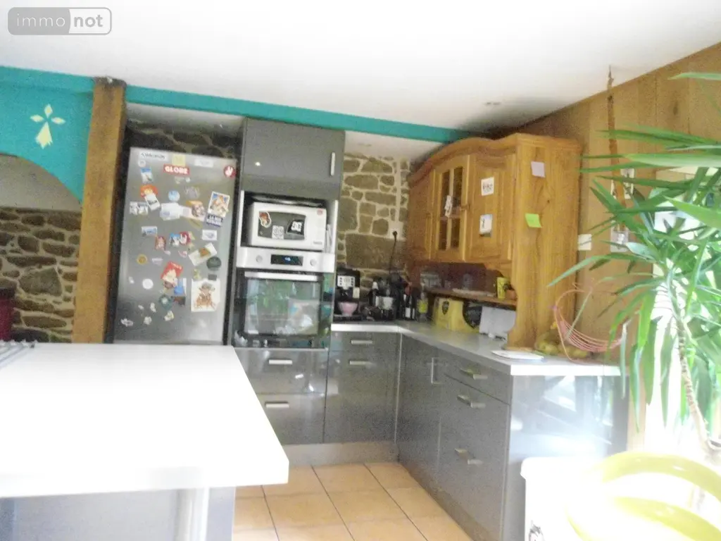 Maison a vendre Baillé 35460 Ille-et-Vilaine 35 106 m2 6 pièces 181930 euros VTEBES 006