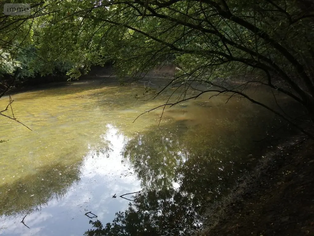 Terrains de loisirs bois etangs a vendre Tuffé Val de la Chéronne 72160 Sarthe 72 17640 euros 87208 001