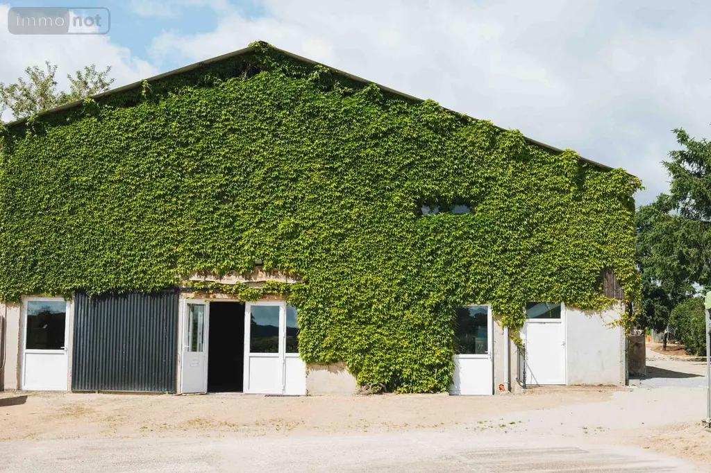 Propriete a vendre Baron 71120 Saône-et-Loire 71 529000 euros achat_propriete_com_71021_71120 005