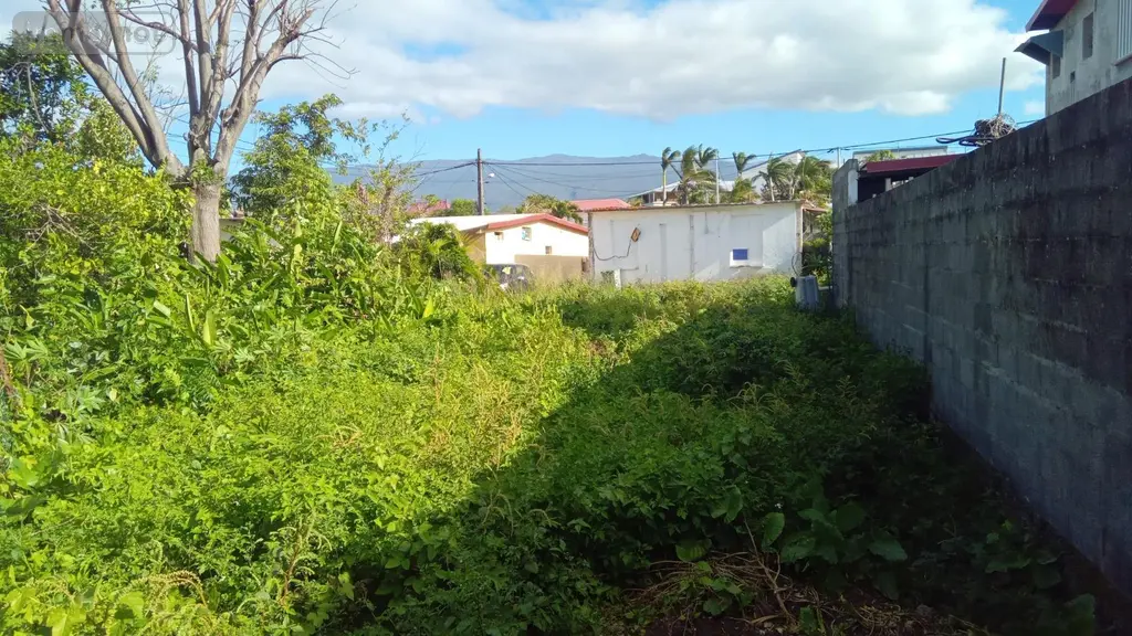 Maison a vendre Saint-Benoît 97470 La Réunion 974 70 m2 4 pièces 182000 euros achat_maison_com_97410_97470 013