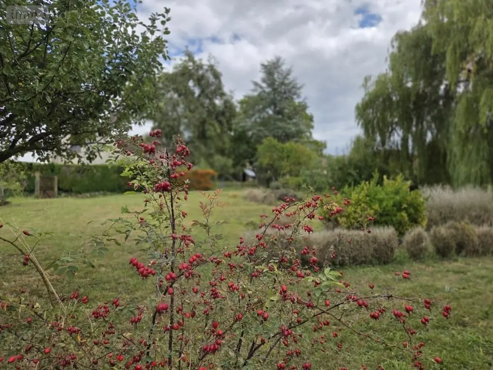 Terrain a batir a vendre Sermiers 51500 Marne 51 335000 euros achat_terrain_a_batir_com_51532_51500 010