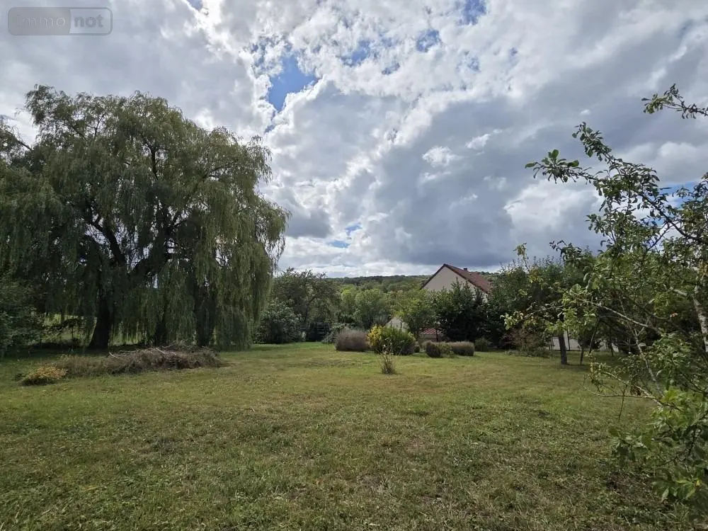 Terrain a batir a vendre Sermiers 51500 Marne 51 335000 euros achat_terrain_a_batir_com_51532_51500 011