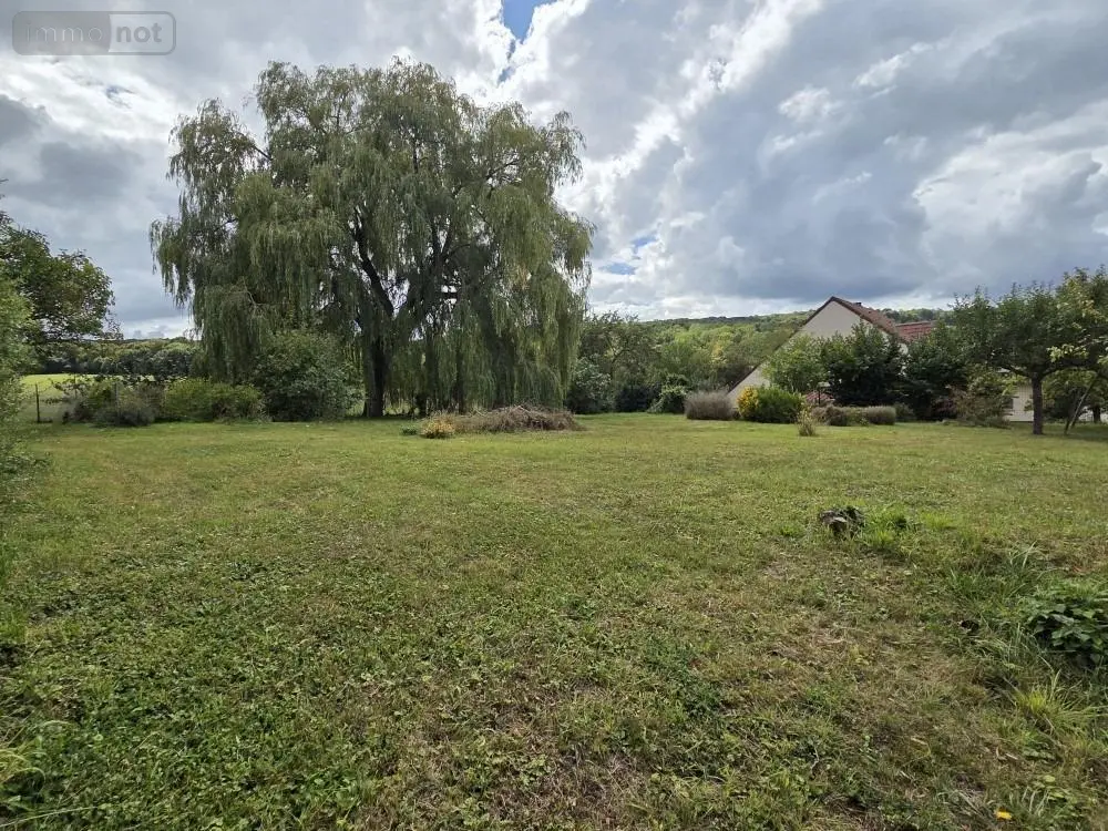 Terrain a batir a vendre Sermiers 51500 Marne 51 335000 euros achat_terrain_a_batir_com_51532_51500 012