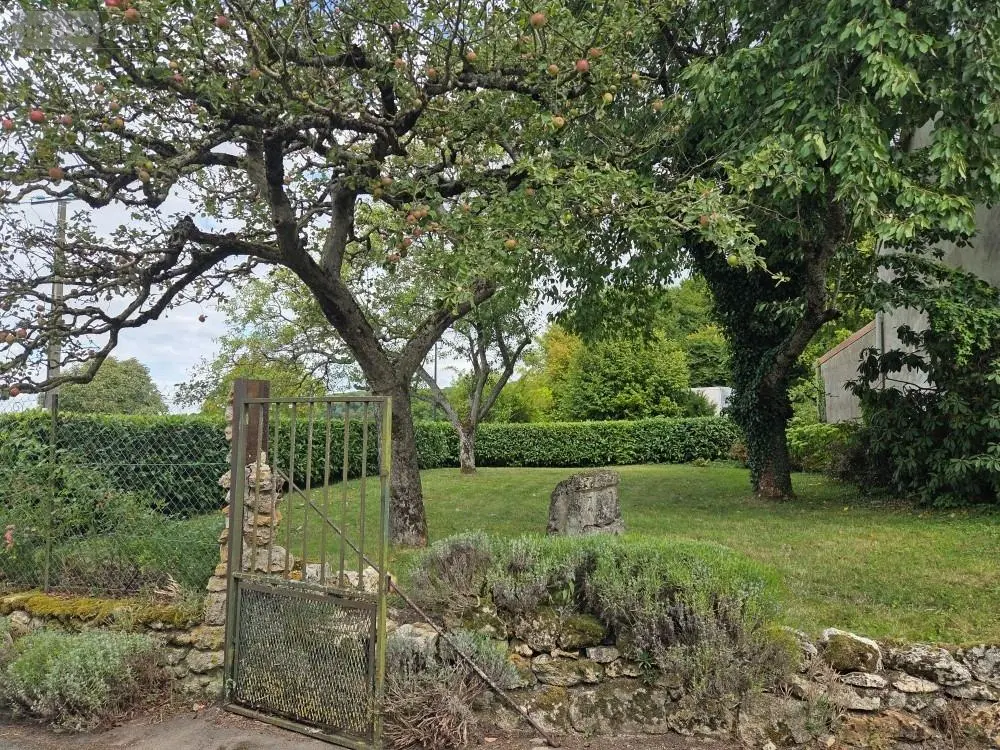 Terrain a batir a vendre Sermiers 51500 Marne 51 335000 euros achat_terrain_a_batir_com_51532_51500 006