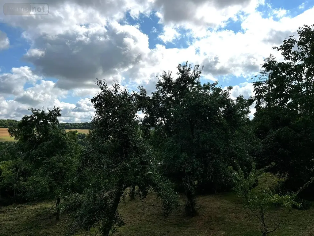 Maison a vendre Poinson-lès-Nogent 52800 Haute-Marne 52 135 m2 5 pièces 95400 euros ARAUR115237 016
