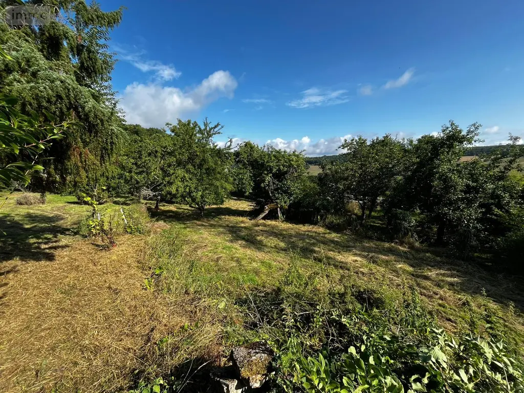 Maison a vendre Poinson-lès-Nogent 52800 Haute-Marne 52 135 m2 5 pièces 95400 euros ARAUR115237 017