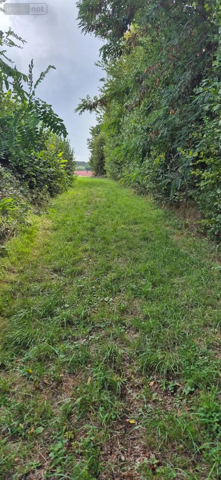 Terrain a batir a vendre Lamnay 72320 Sarthe 72 53100 euros 458 002