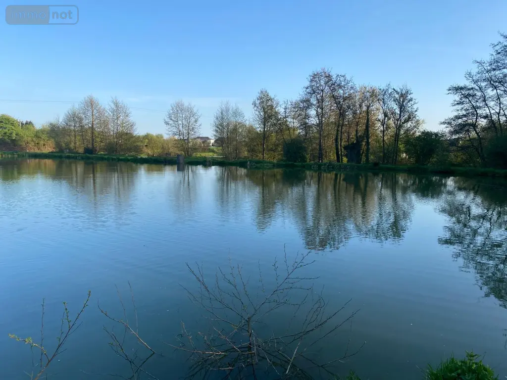 Terrains de loisirs bois etangs a vendre Feignies 59750 Nord 59 289200 euros A2025 00133 003