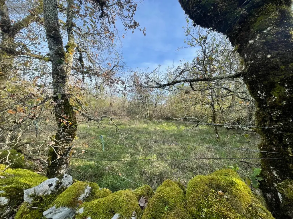 Terrains de loisirs bois etangs a vendre Assier 46320 Lot 46 23000 euros 25.029 007