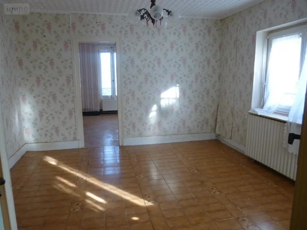 Maison a vendre Cosne-Cours-sur-Loire 58200 Nièvre 58 56 m2 2 pièces 37100 euros ST 262 005