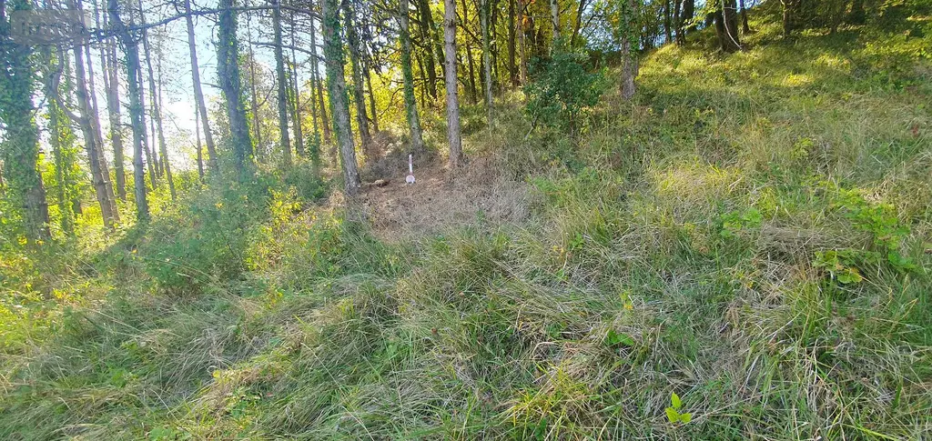 Terrain a batir a vendre Malause 82200 Tarn-et-Garonne 82 1033 m2 29000 euros 1537 002