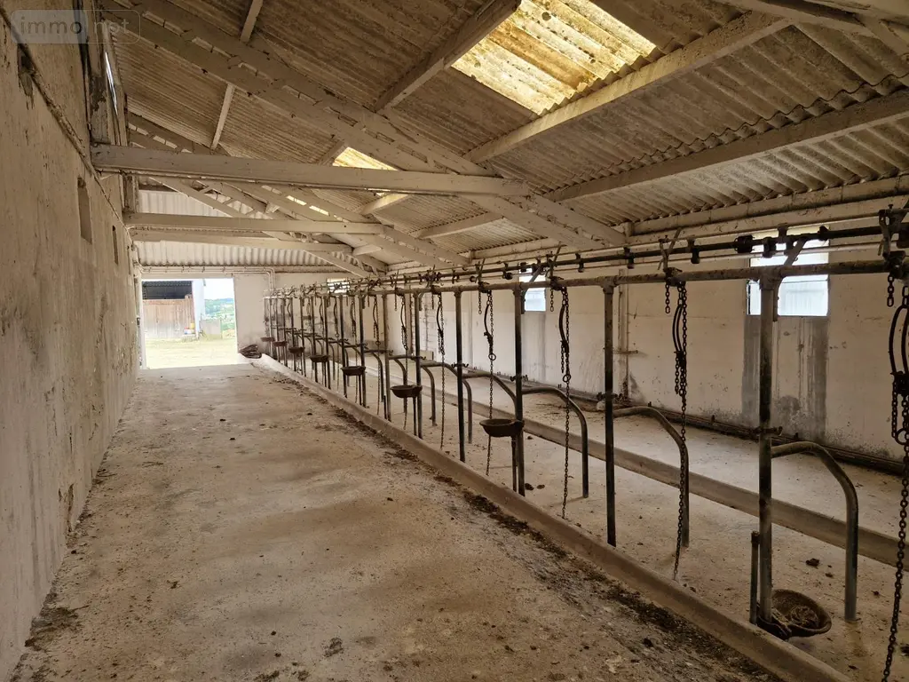 Bien agricole a vendre Villeloin-Coulangé 37460 Indre-et-Loire 37 149 m2 8 pièces 218400 euros 2025/16 020