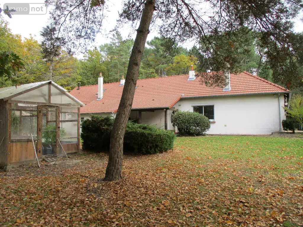 Viager propriete Romorantin-Lanthenay 41200 Loir-et-Cher 41 0 euros 43 003