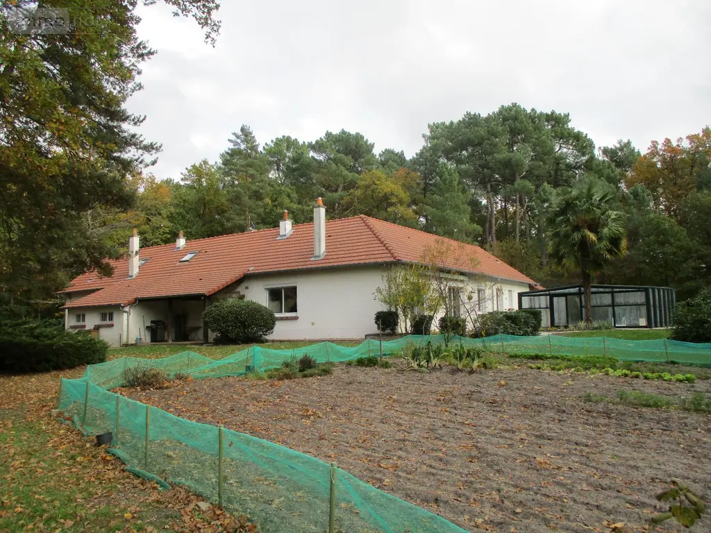 Viager propriete Romorantin-Lanthenay 41200 Loir-et-Cher 41 0 euros 43 004