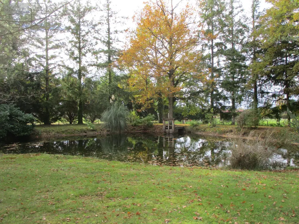 Viager propriete Romorantin-Lanthenay 41200 Loir-et-Cher 41 0 euros 43 005