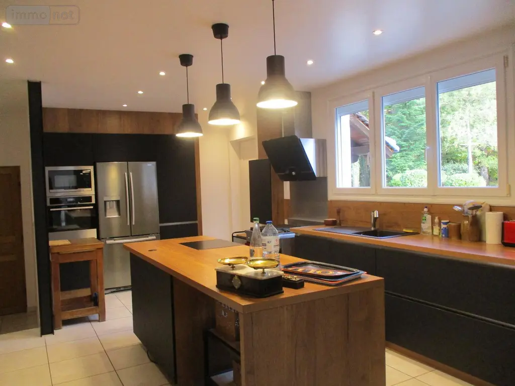 Viager propriete Romorantin-Lanthenay 41200 Loir-et-Cher 41 0 euros 43 009