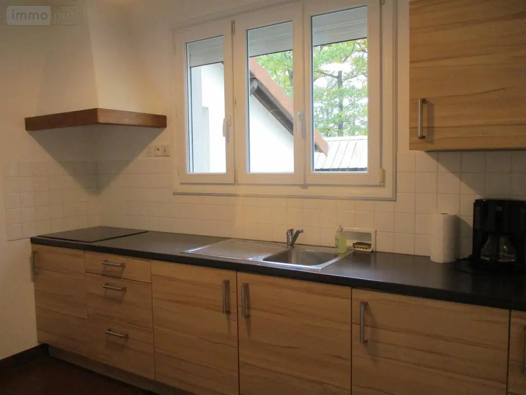 Viager propriete Romorantin-Lanthenay 41200 Loir-et-Cher 41 0 euros 43 016