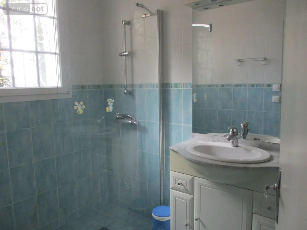 Viager propriete Romorantin-Lanthenay 41200 Loir-et-Cher 41 0 euros 43 019