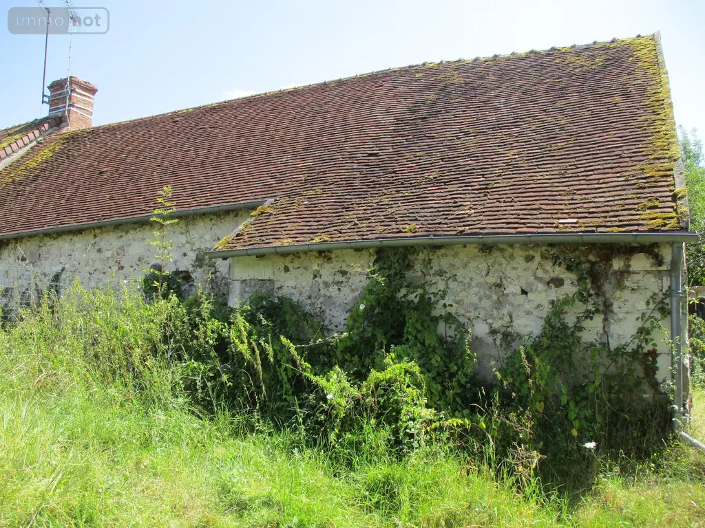 Maison a vendre Lye 36600 Indre 36 30 m2 1 pièce 32100 euros 13 003