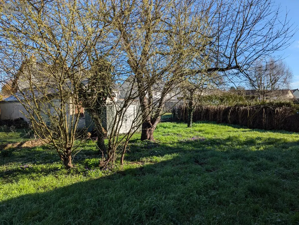 Maison a vendre Langeais 37130 Indre-et-Loire 37 79 m2 3 pièces 194250 euros 160 002