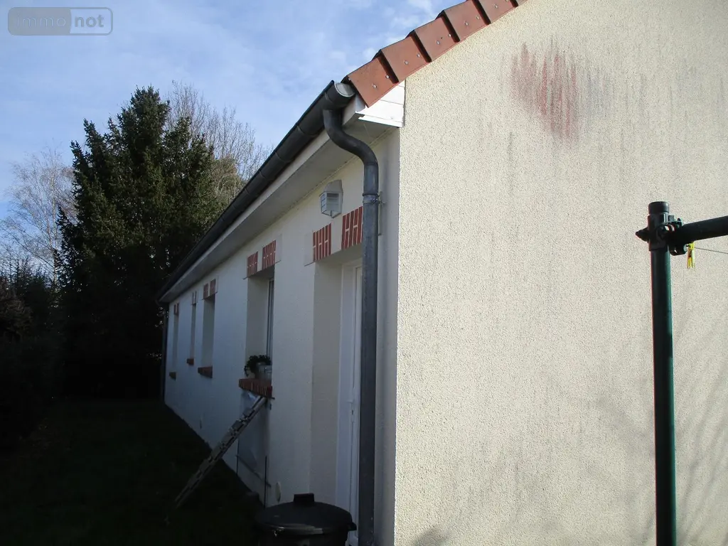 Viager maison Chabris 36210 Indre 36 162 m2 5 pièces 10000 euros 04 002