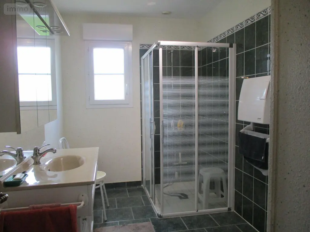 Viager maison Chabris 36210 Indre 36 162 m2 5 pièces 10000 euros 04 010