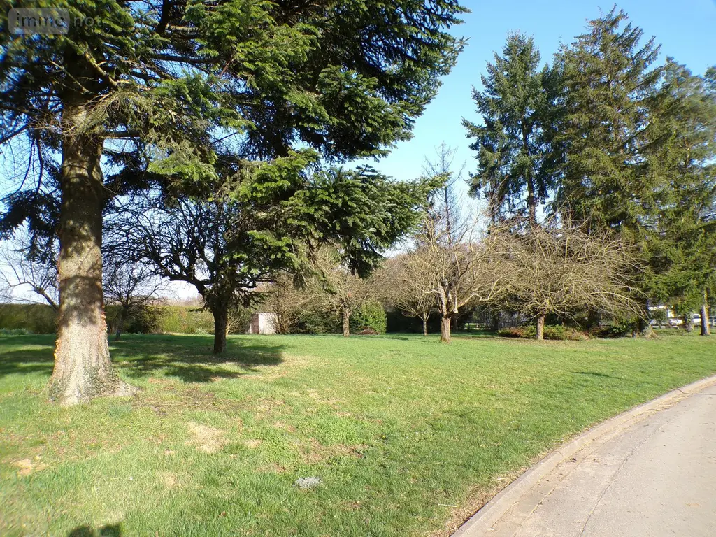 Terrain a batir a vendre Thelonne 08350 Ardennes 08 84700 euros 4091T 002