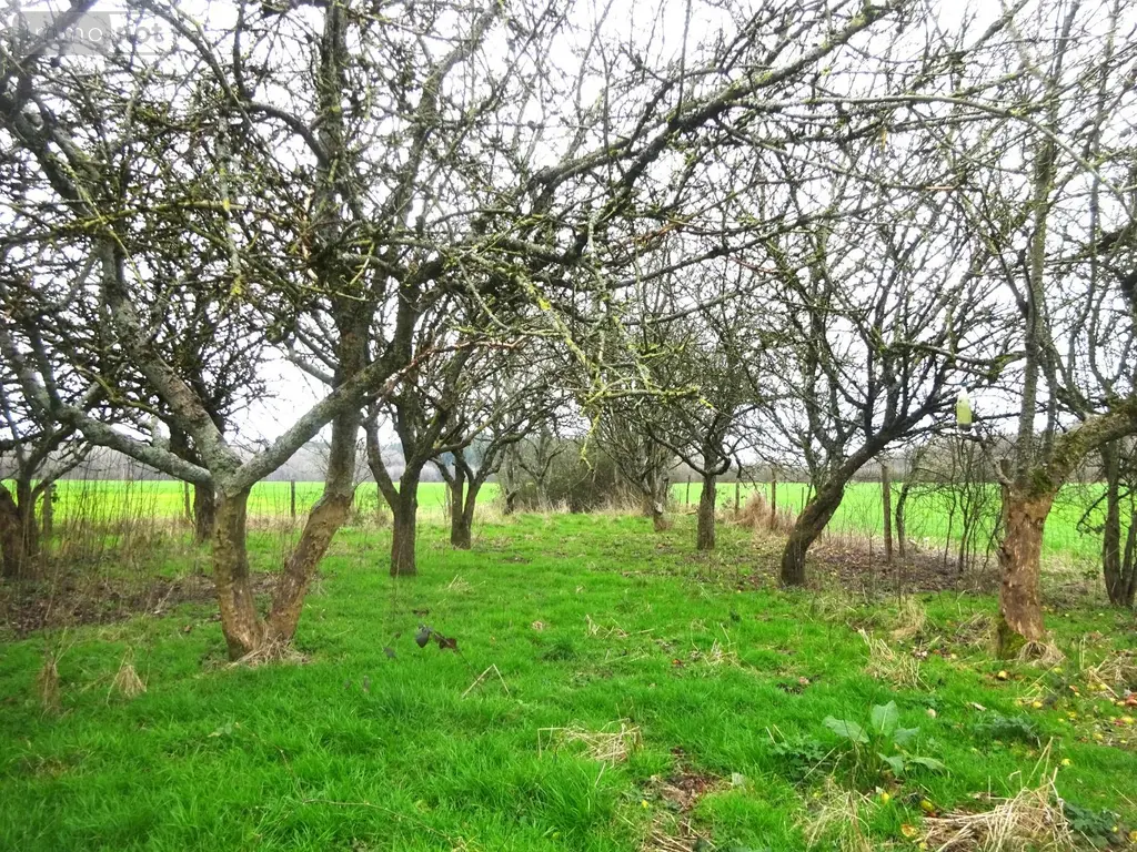 Maison a vendre Brunelles 28400 Eure-et-Loir 28 86 m2 3 pièces 58300 euros BRU 1037 011
