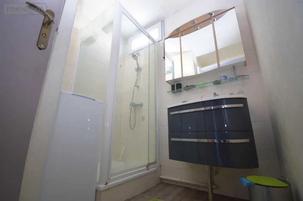 Appartement a vendre Grenoble 38100 Isère 38 55 m2 3 pièces 97000 euros 38161-4/26 008