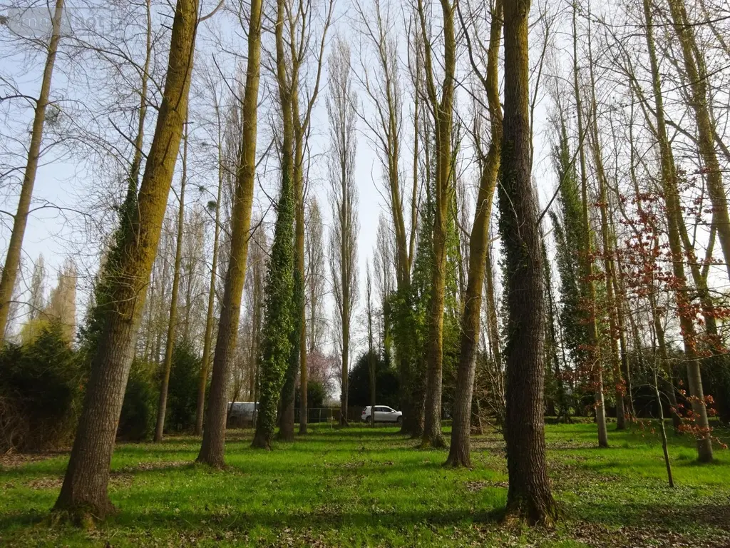 Terrains de loisirs bois etangs a vendre Nogent-le-Rotrou 28400 Eure-et-Loir 28 26500 euros NOG 1039 002