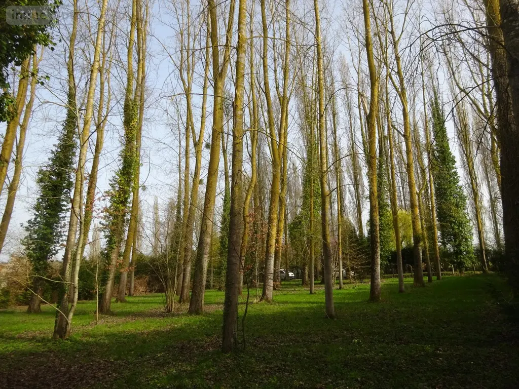Terrains de loisirs bois etangs a vendre Nogent-le-Rotrou 28400 Eure-et-Loir 28 26500 euros NOG 1039 004