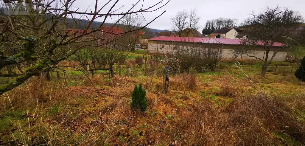 Maison a vendre Charmes 52360 Haute-Marne 52 50 m2 2 pièces 54800 euros SGAUR115856 002