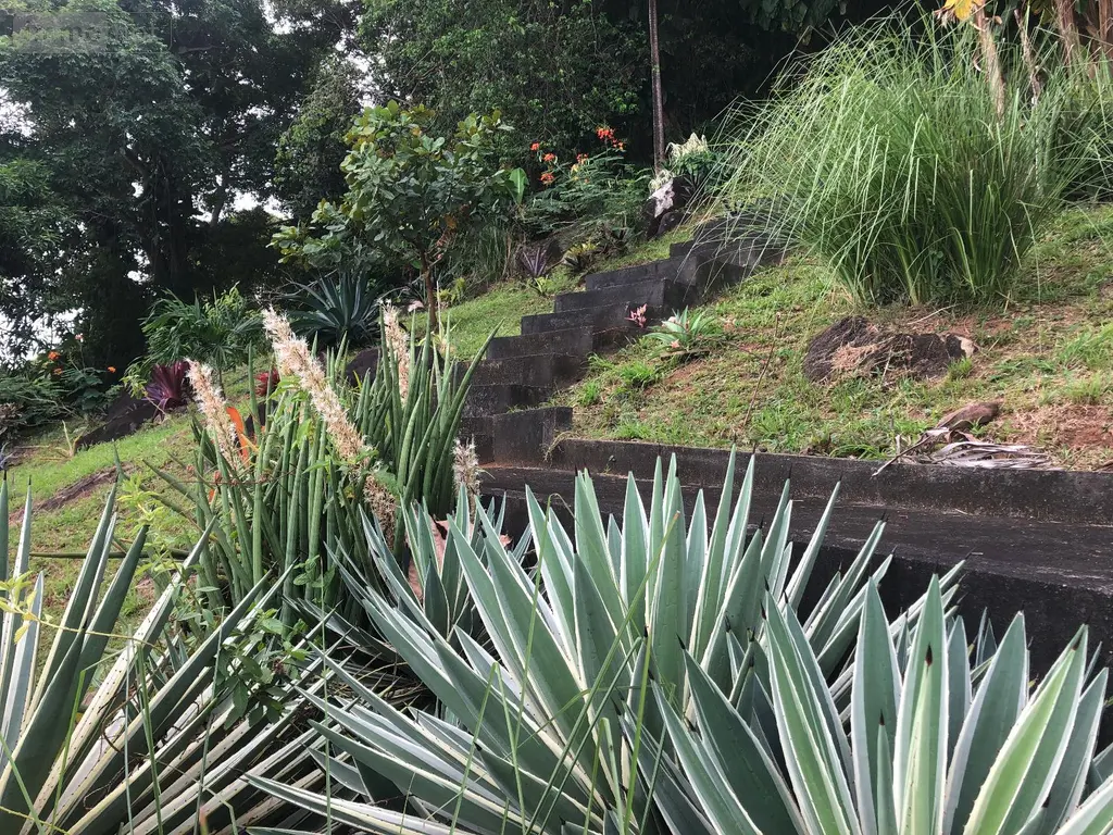 Maison a vendre Cayenne 97300 Guyane 973 154 m2 4 pièces 495000 euros 1010299 004