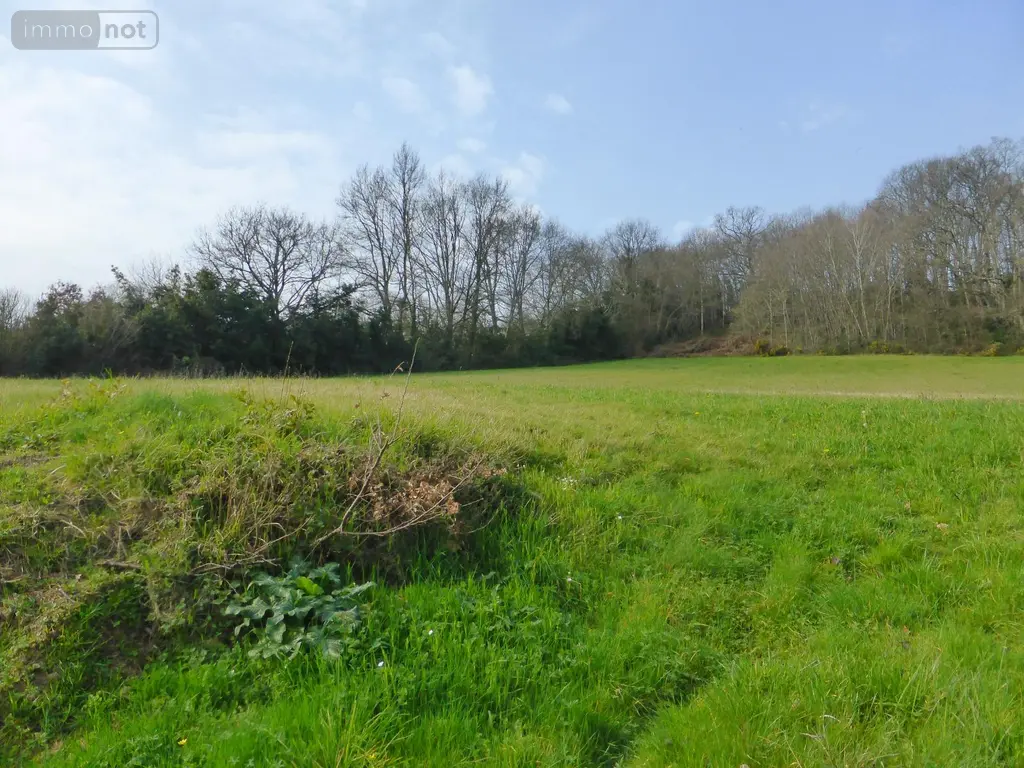 Terrain a batir a vendre Monléon-Magnoac 65670 Hautes-Pyrénées 65 34980 euros 26006 003