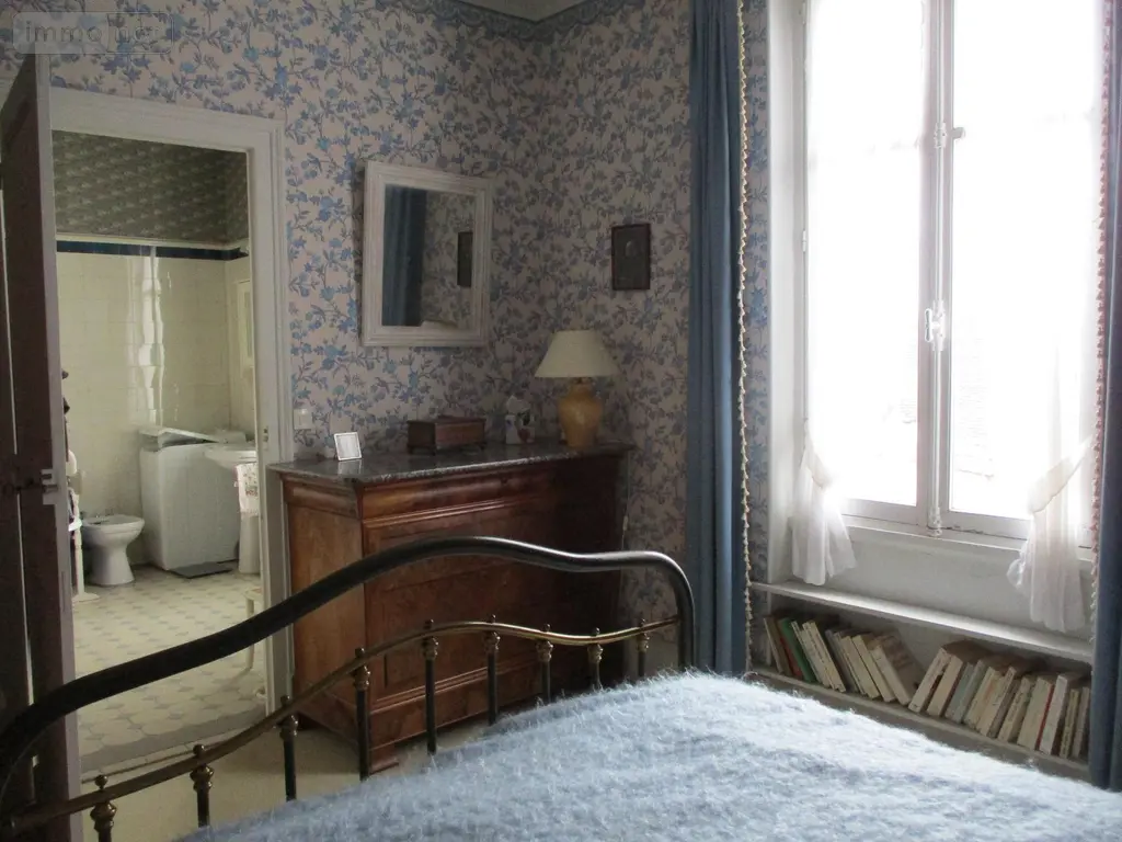 Maison a vendre Chabris 36210 Indre 36 205 m2 8 pièces 253300 euros 07 018