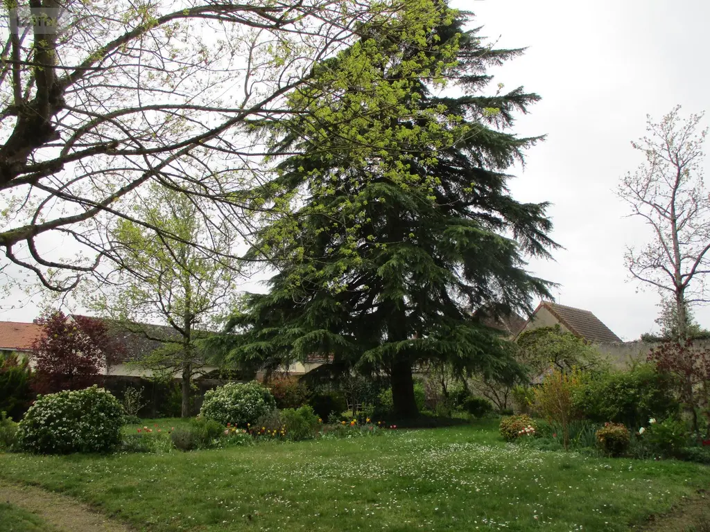 Maison a vendre Chabris 36210 Indre 36 205 m2 8 pièces 253300 euros 07 005