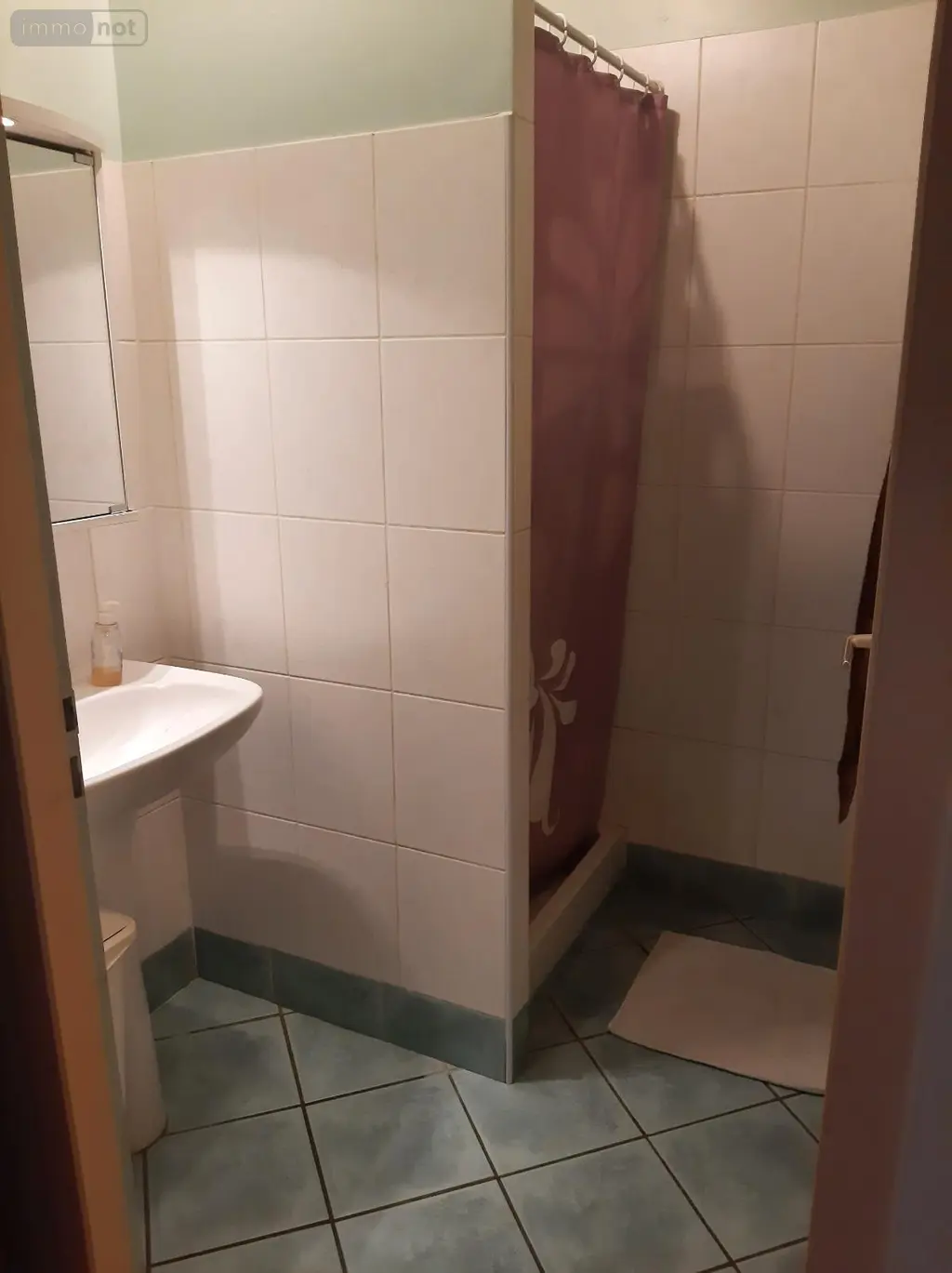 Location appartement Saint-Martin-en-Haut 69850 Rhône 69 50 m2 3 pièces 668 euros 260313 004