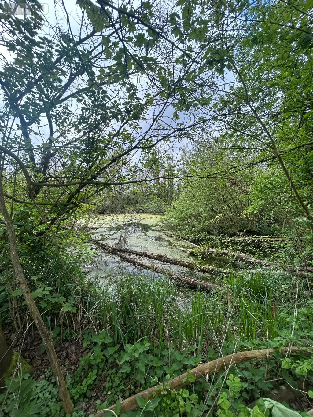 Propriete a vendre Péronne 80200 Somme 80 250 m2 8 pièces 416000 euros P0171 022