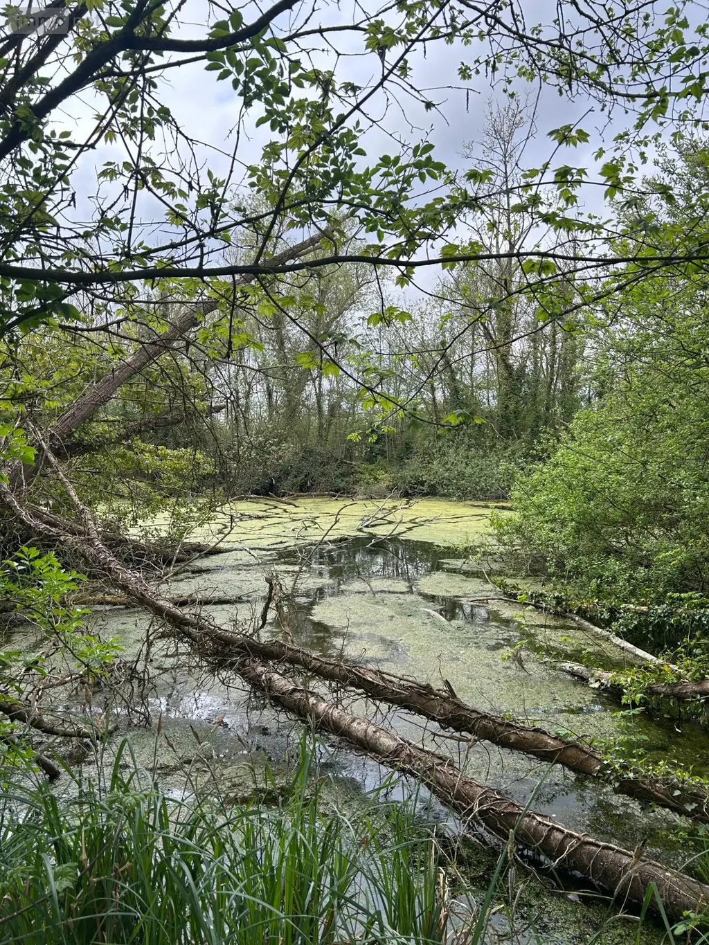 Propriete a vendre Péronne 80200 Somme 80 250 m2 8 pièces 416000 euros P0171 023