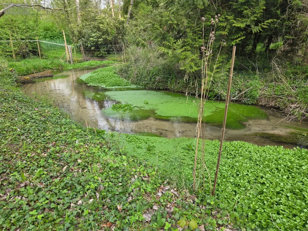 Maison a vendre Abbéville-la-Rivière 91150 Essonne 91 230 m2 8 pièces 510000 euros 052026-75393 011