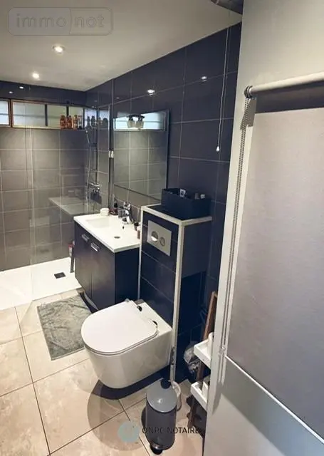 Maison a vendre Condrieu 69420 Rhône 69 113 m2 4 pièces 480000 euros 1002844 008