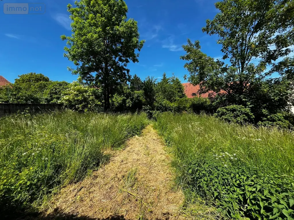 Bien agricole a vendre Perrogney-les-Fontaines 52160 Haute-Marne 52 220 m2 39000 euros SGML116506 010