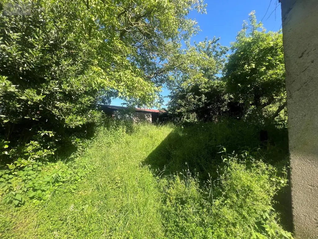 Maison a vendre Petit-Auverné 44670 Loire-Atlantique 44 68 m2 4 pièces 33900 euros DOMAINE 012