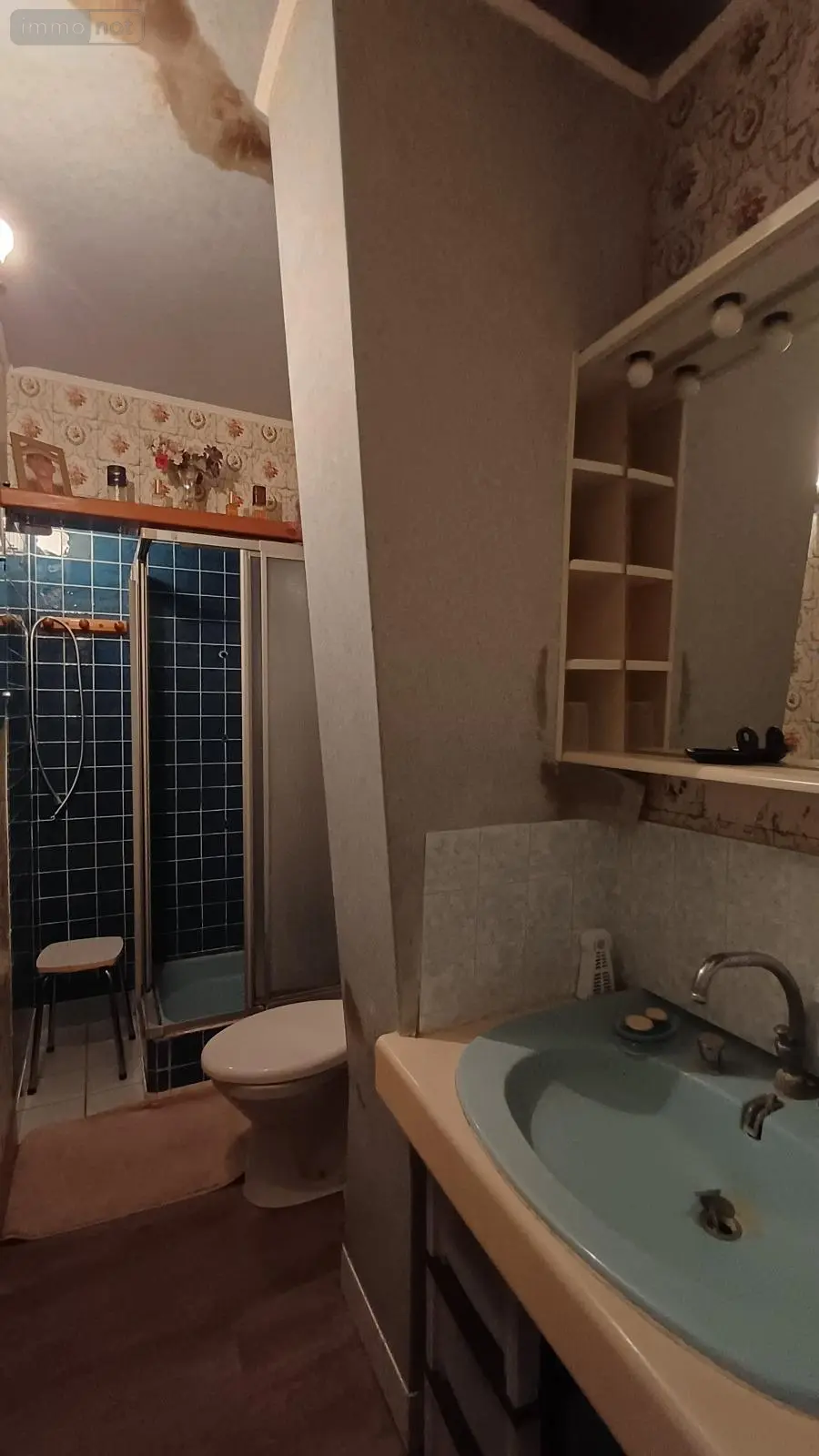 Maison a vendre Le Mans 72000 Sarthe 72 114 m2 5 pièces 183400 euros CPE 654 009