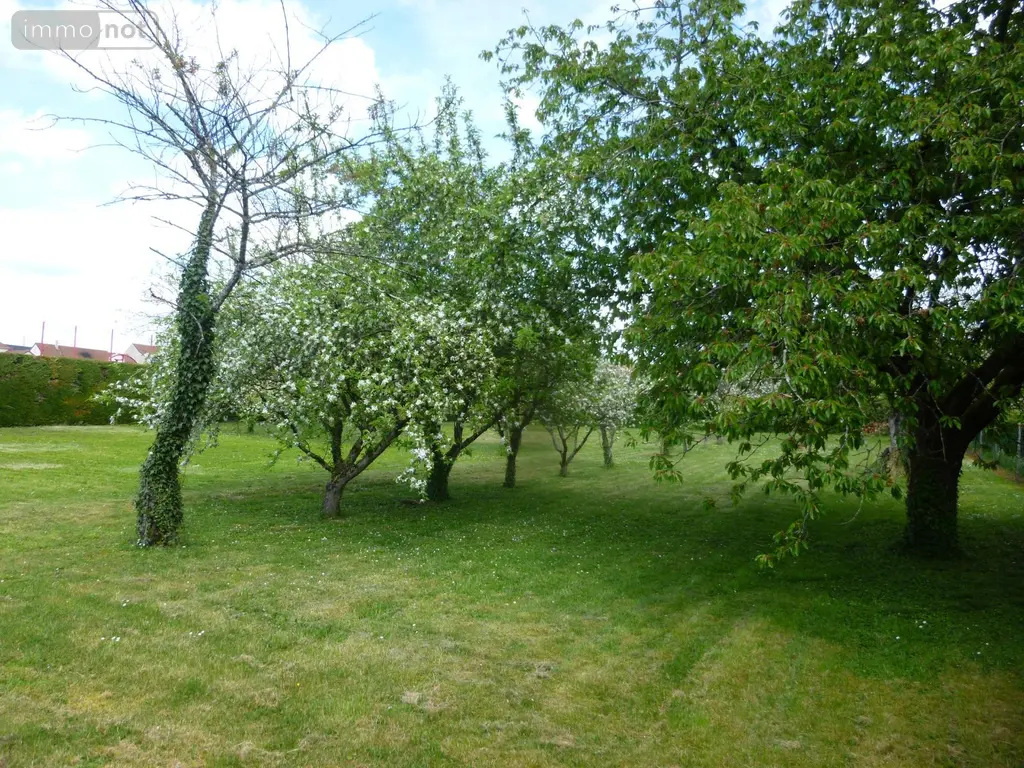 Terrain a batir a vendre Saint-Père 58200 Nièvre 58 1859 m2 21200 euros ST 268 003