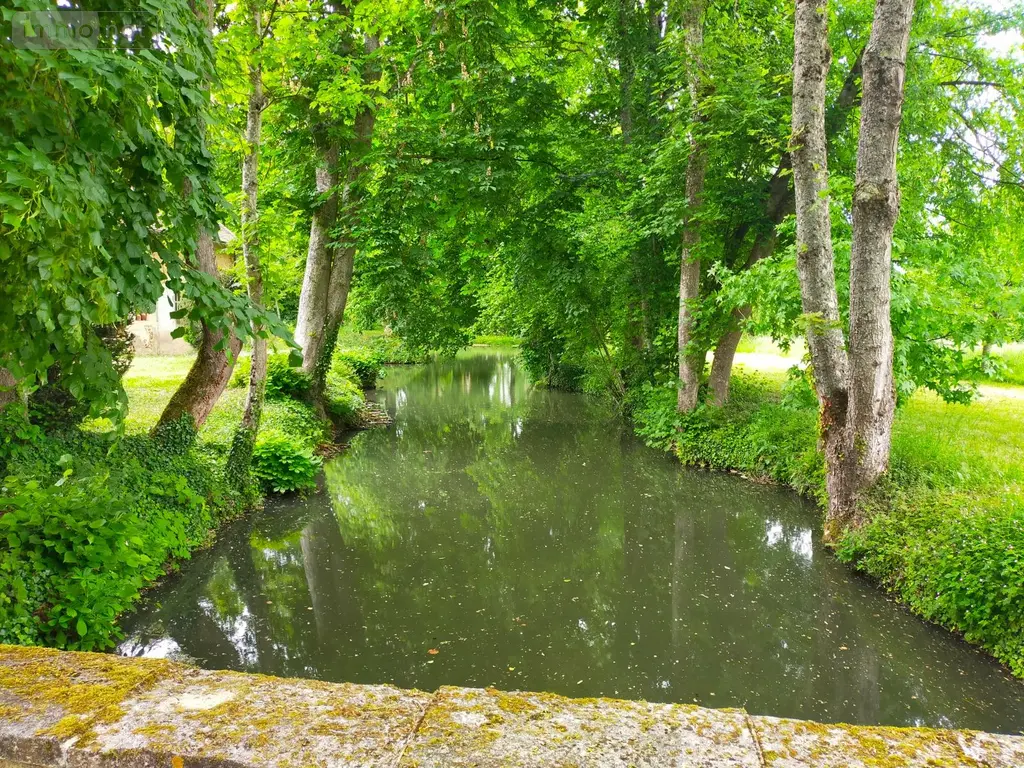 Propriete a vendre Charny Orée de Puisaye 89120 Yonne 89 300 m2 9 pièces 850000 euros 1007730 011