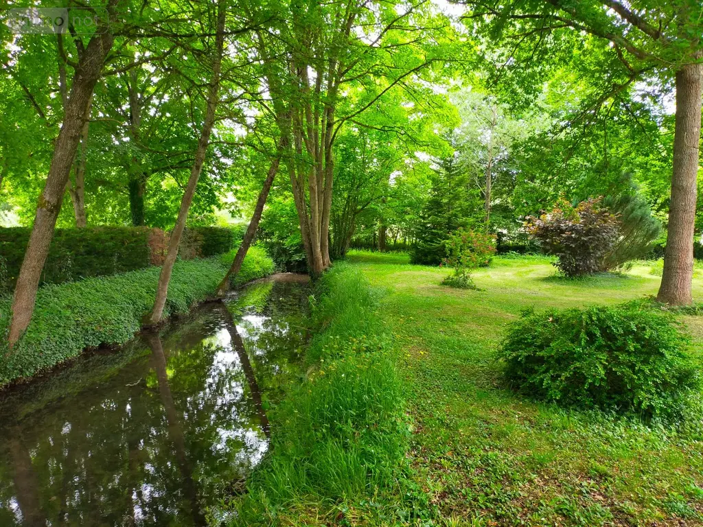 Propriete a vendre Charny Orée de Puisaye 89120 Yonne 89 300 m2 9 pièces 850000 euros 1007730 022